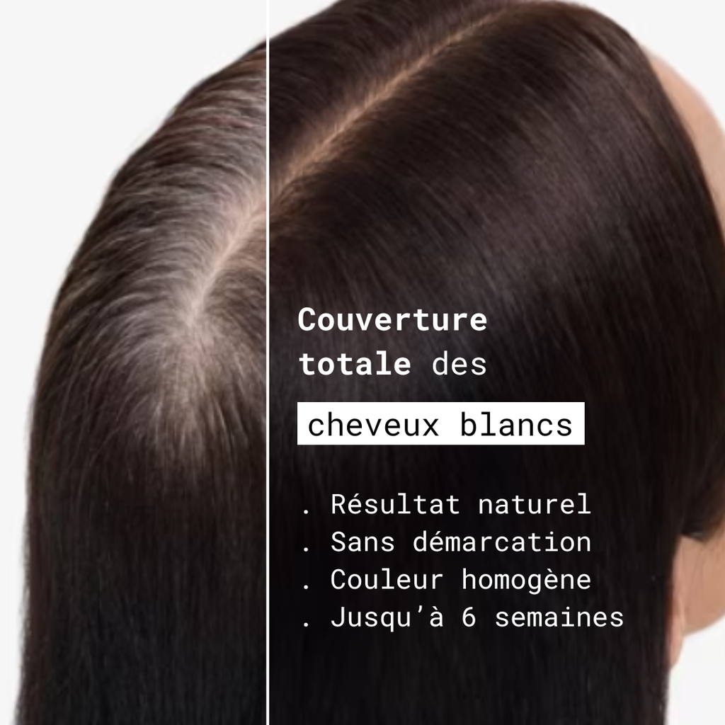 Shampoing colorant