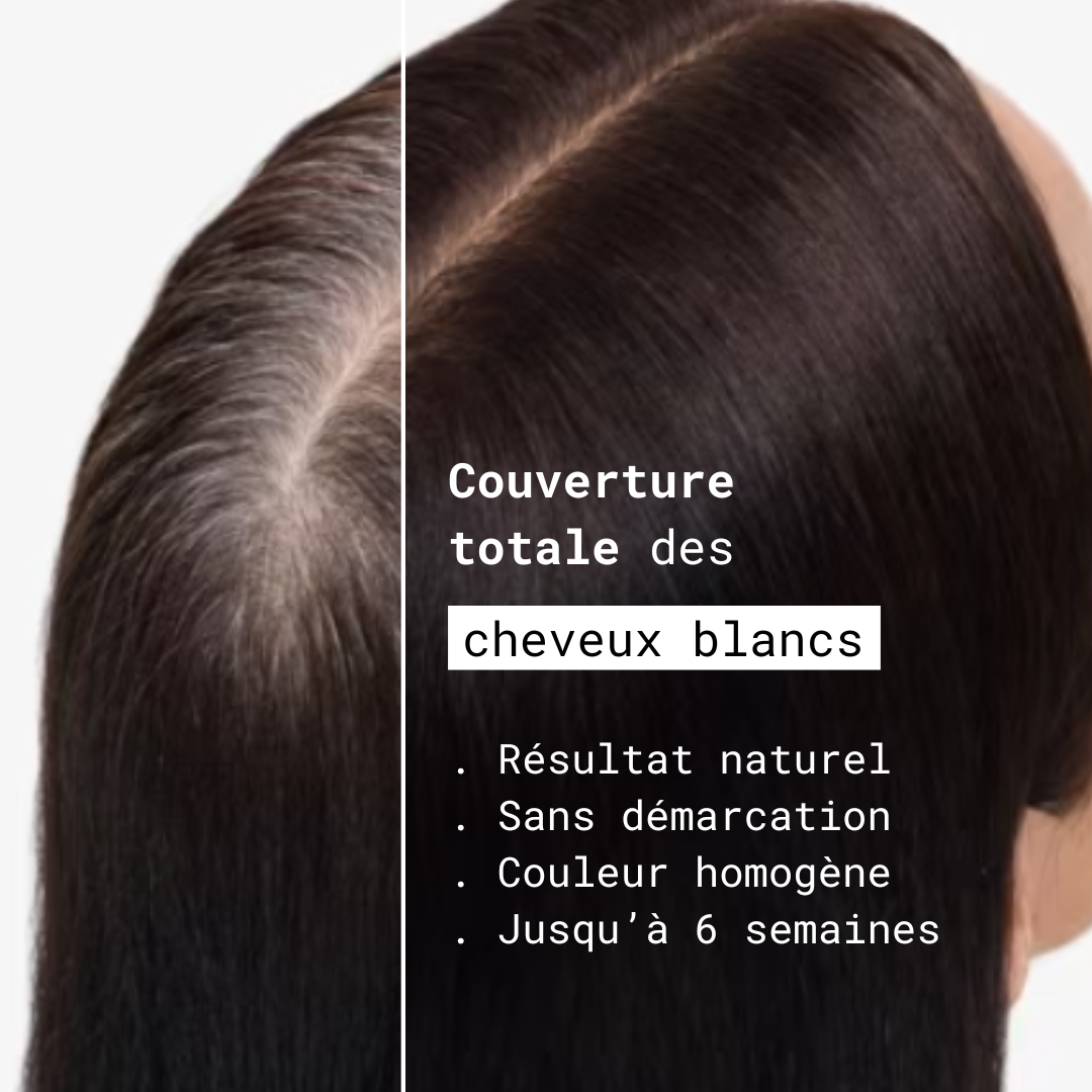 Shampoing colorant